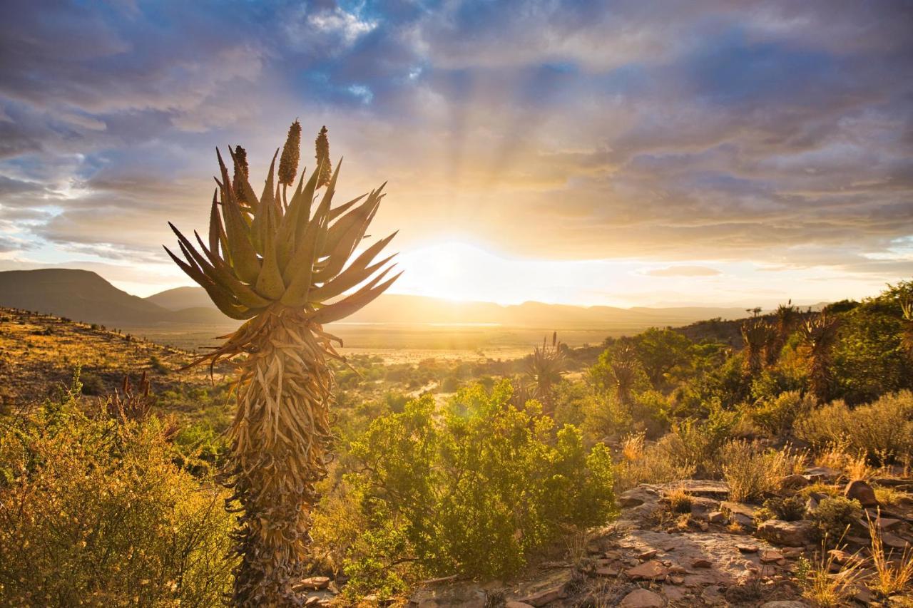 Ironstone Cottage Graaff-Reinet Εξωτερικό φωτογραφία
